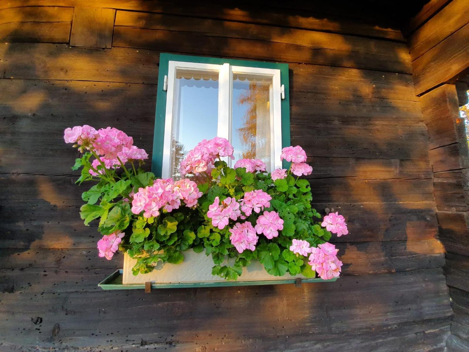 Ferienhaus Koglegg Wies ภายนอก รูปภาพ